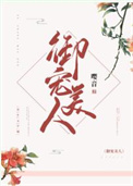 御宠佳人读档